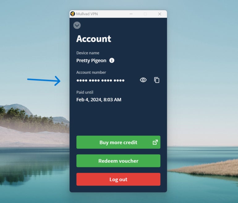 Mullvad account number.